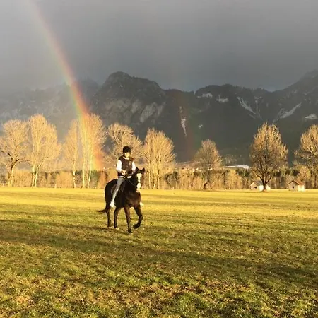 Wengerwirt Zur Laube Rustical 