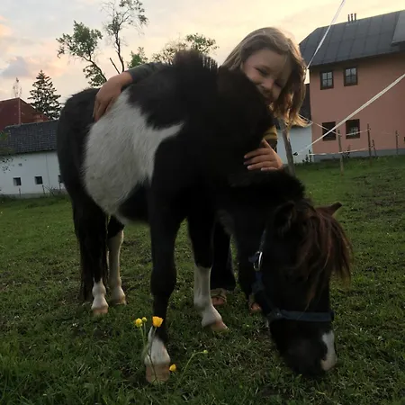 Wengerwirt Zur Laube Rustical 