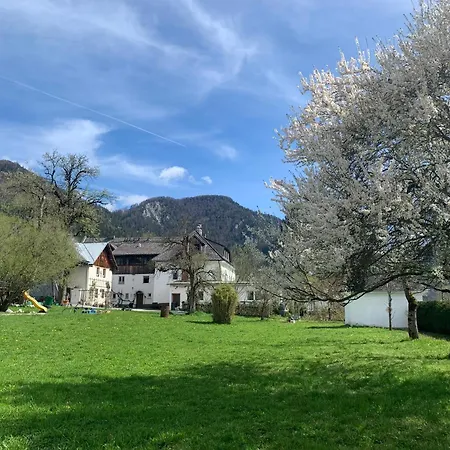 Wengerwirt Zur Laube Frühstückspension Admont