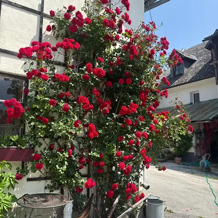 Wengerwirt Zur Laube Rustical 