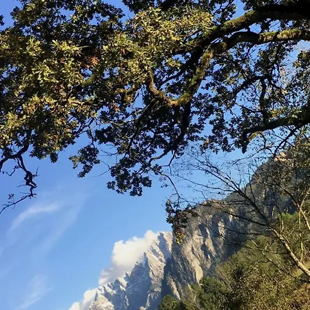 Wengerwirt Zur Laube Rustical 