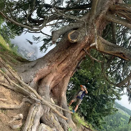 Wengerwirt Zur Laube Rustical 
