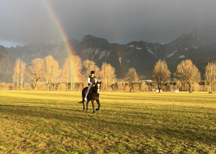 Wengerwirt Zur Laube Rustical 