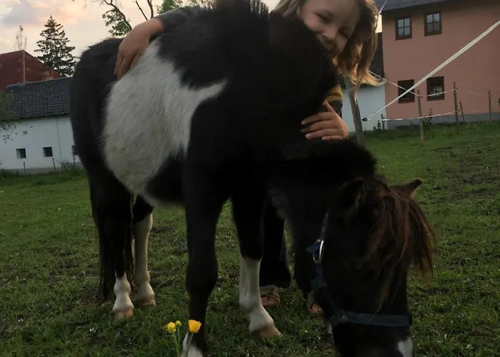 Wengerwirt Zur Laube Rustical 