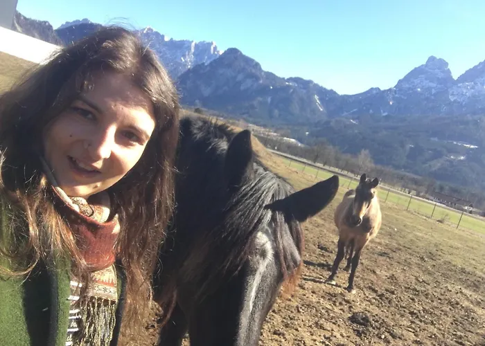 فندق مبيت وإفطار Wengerwirt Zur Laube Rustical 