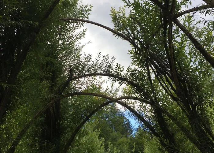 Wengerwirt Zur Laube Rustical 