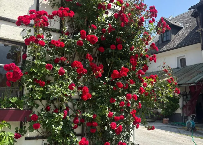 Wengerwirt Zur Laube Rustical 