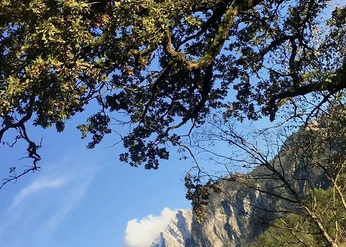 Wengerwirt Zur Laube Rustical 